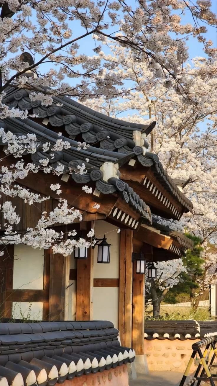 Corea del Sur