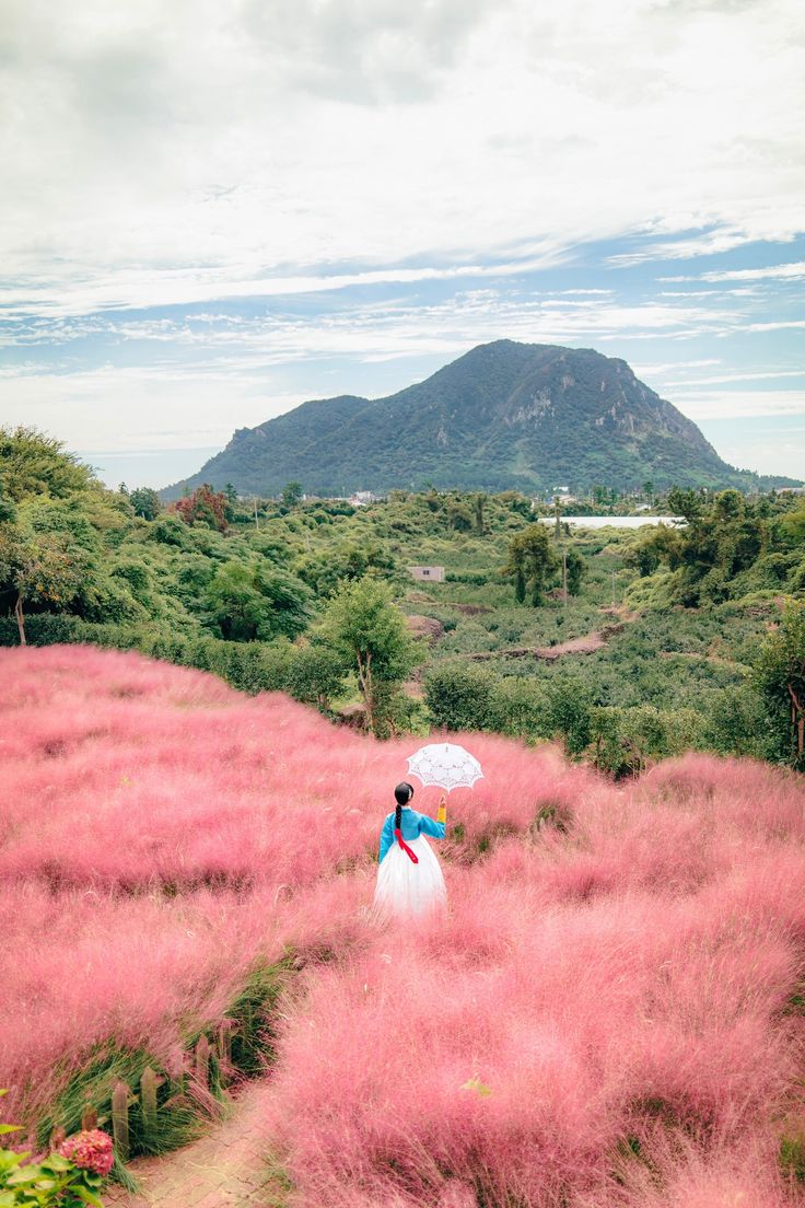 Isla de Nami · Gangchon en tren o bici · La Pequeña Francia