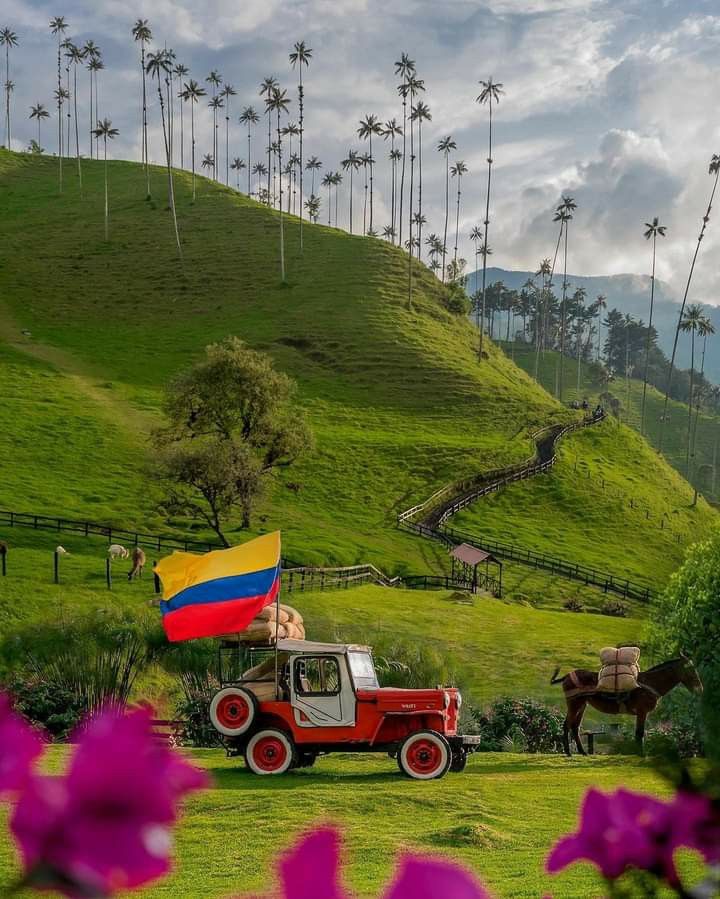 Eje cafetero